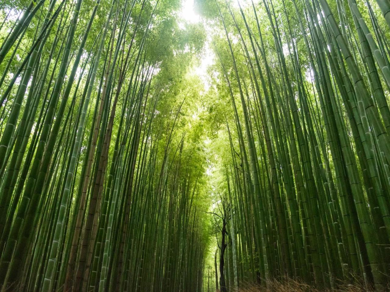 Stay Marutamachi Kyoto Luaran gambar
